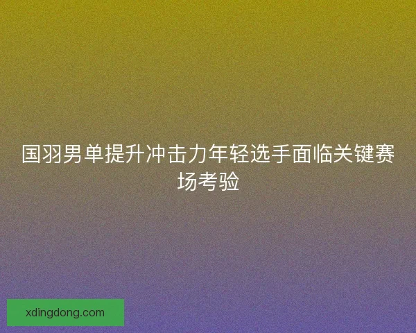 国羽男单提升冲击力年轻选手面临关键赛场考验