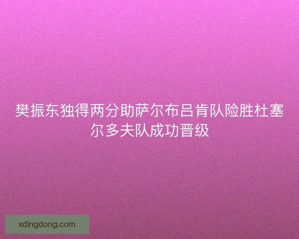 樊振东独得两分助萨尔布吕肯队险胜杜塞尔多夫队成功晋级