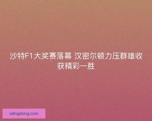沙特F1大奖赛落幕 汉密尔顿力压群雄收获精彩一胜
