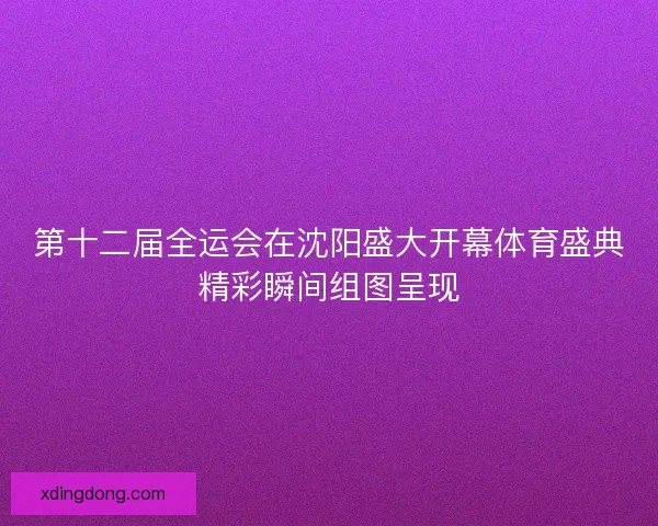 第十二届全运会在沈阳盛大开幕体育盛典精彩瞬间组图呈现
