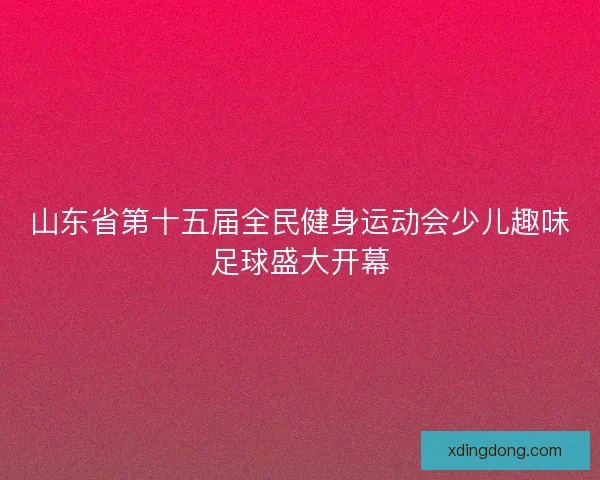 山东省第十五届全民健身运动会少儿趣味足球盛大开幕