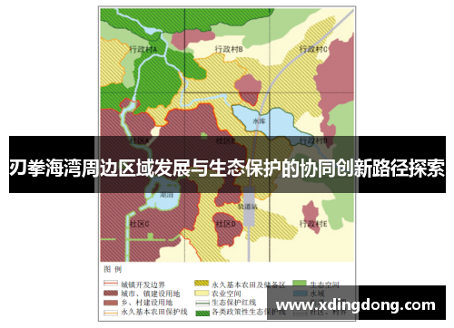刃拳海湾周边区域发展与生态保护的协同创新路径探索